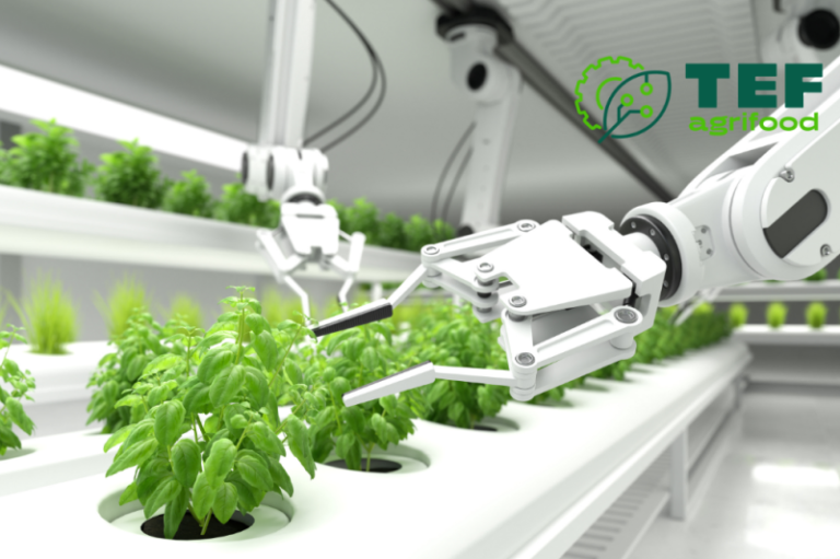 Robotyczne rozwiązania i technologia AI dla rolnictwa – partnerski projekt Sieci Badawczej Łukasiewicz – Poznańskiego Instytutu Technologicznego